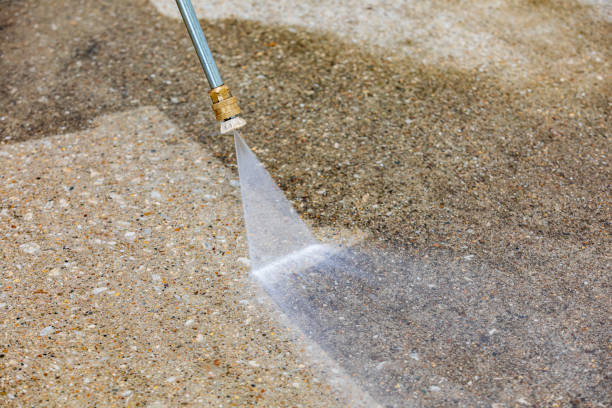 Animal Enclosure Cleaning in Cameron, WI